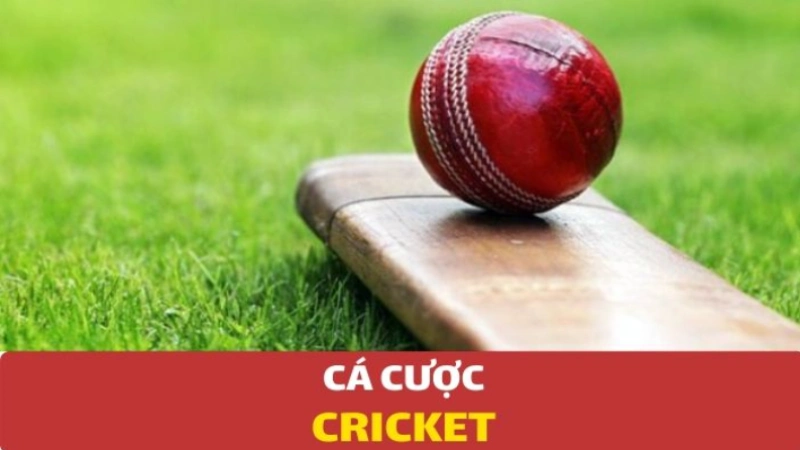 Cá cược Cricket tại Bong88